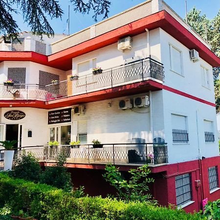 Locanda San Biagio 미사노아드리아티코 외부 사진